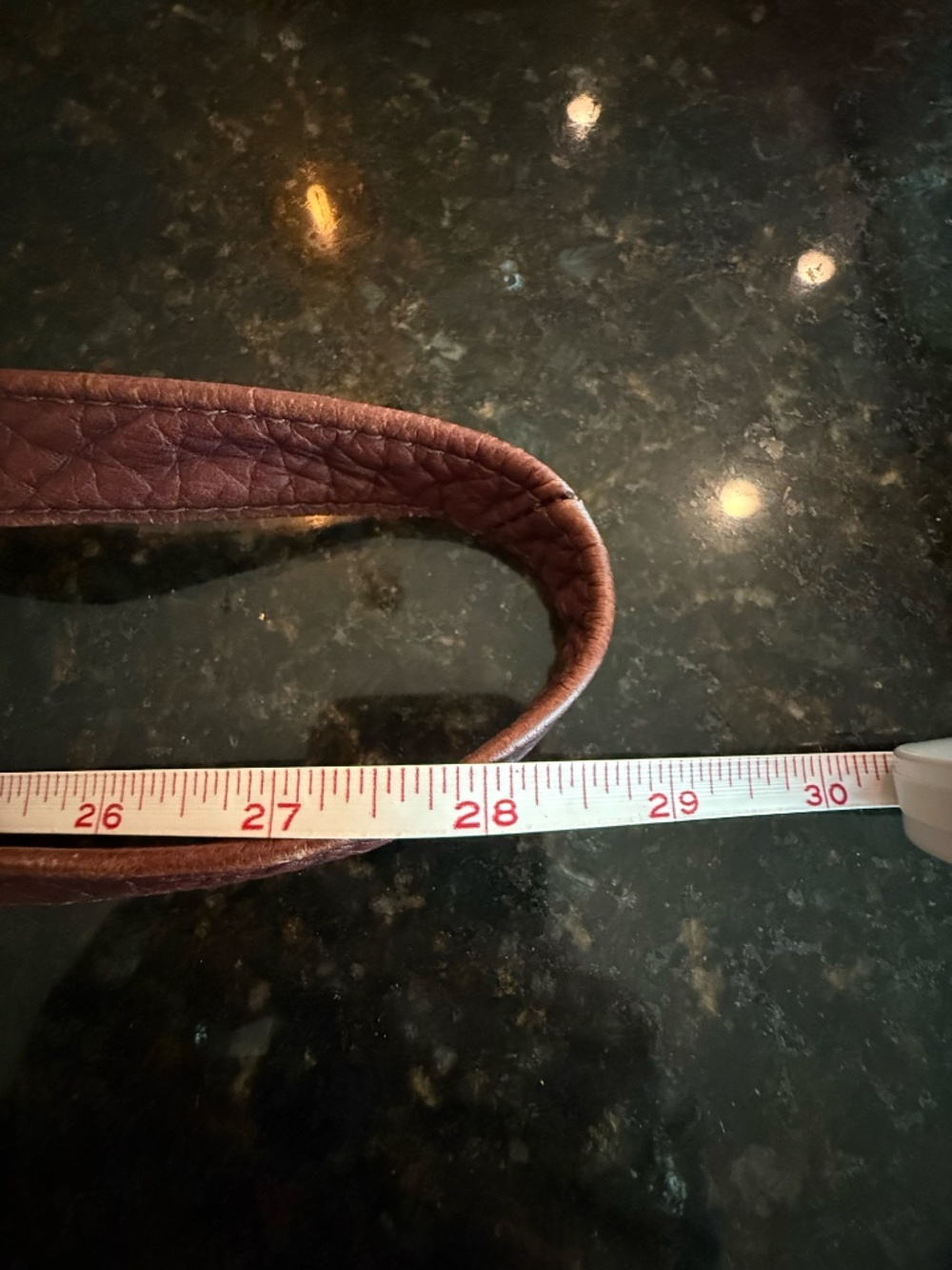 FRYE CROSSBODY BAG - Picture 3 of 10